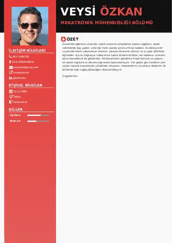 Mekatronik Mühendisliği Cv Örnekleri cv indir